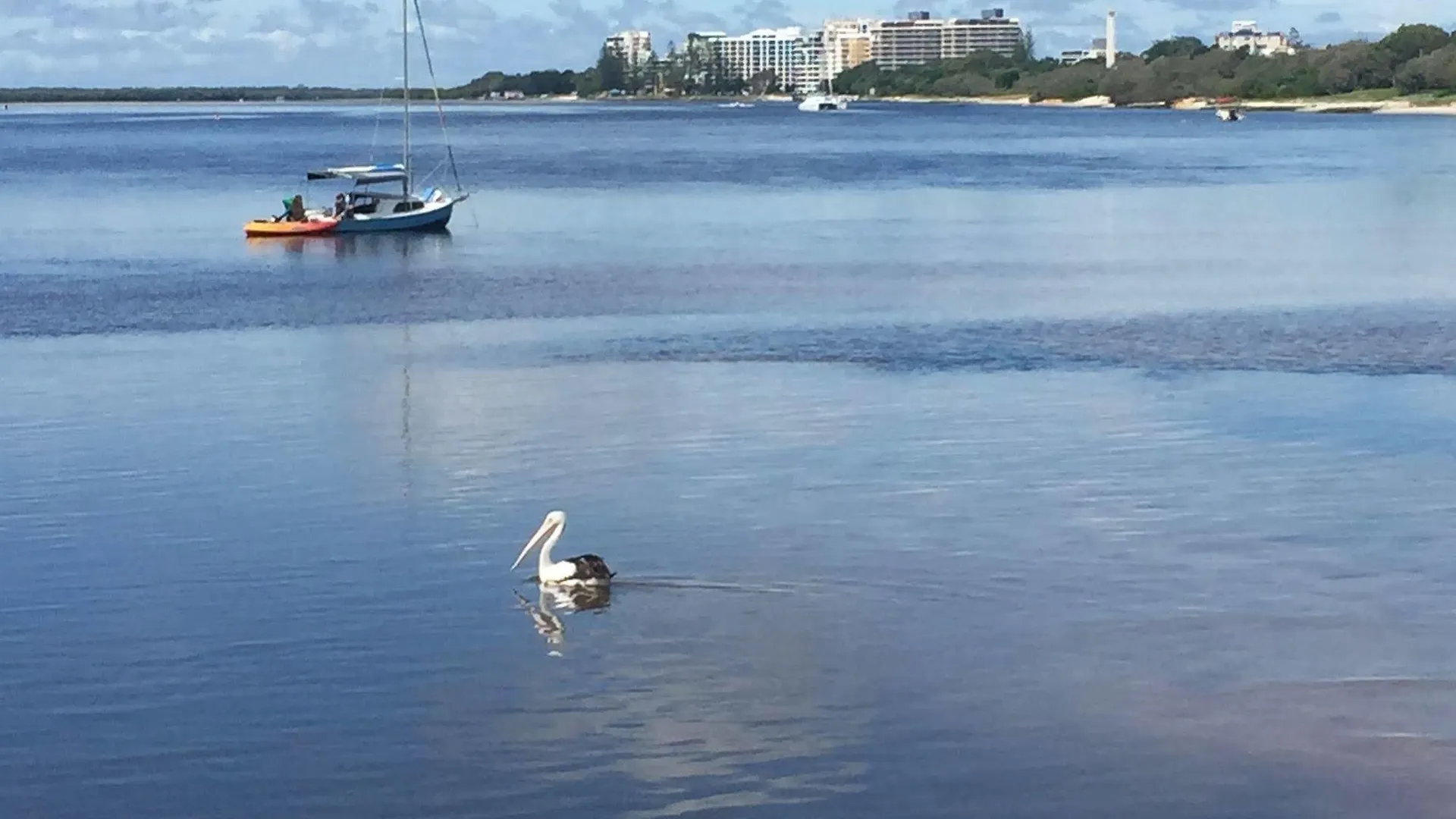 Caloundra Suncourt Motel
